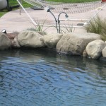 Best Amarillo Pool Builders Swim Pool Designs
